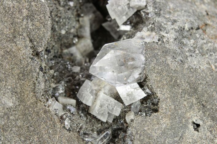 Herkimer Diamonds and Dolomite Crystals in Matrix - New York #291476